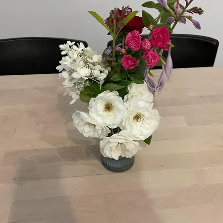 Apartman Matejki